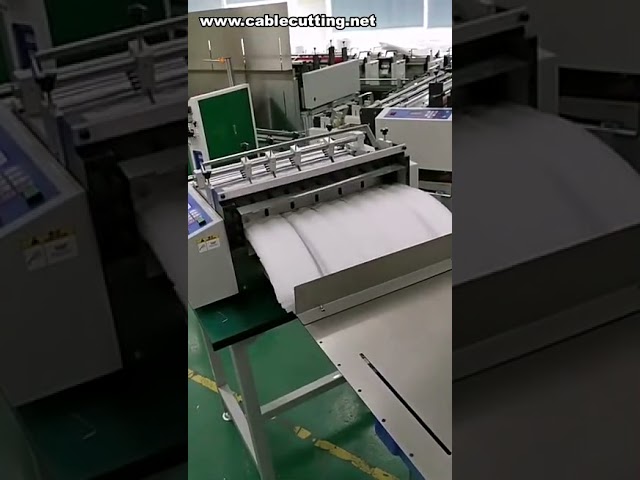 Cortadora de film retráctil PVC y cinta plástica PP – Máquina de precisión para empaques