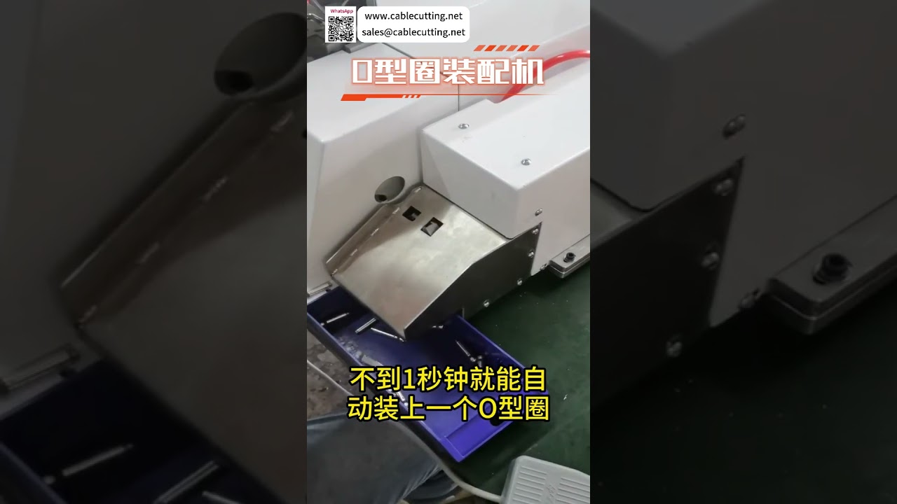 Máquina inteligente de ensamblaje de juntas tóricas: Línea automática de alta eficiencia para producción de anillos de sellado