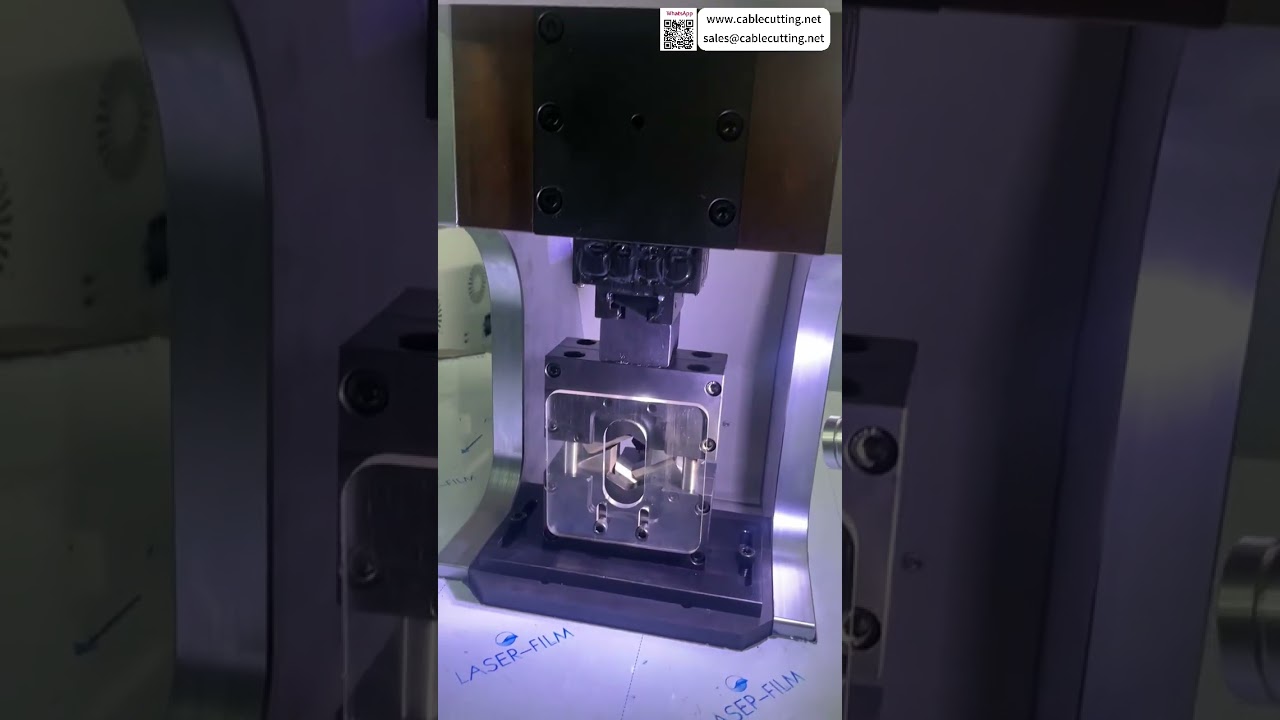 Máquina de Crimpado Servo Automática de Gran Tamaño para Arneses de Nueva Energía