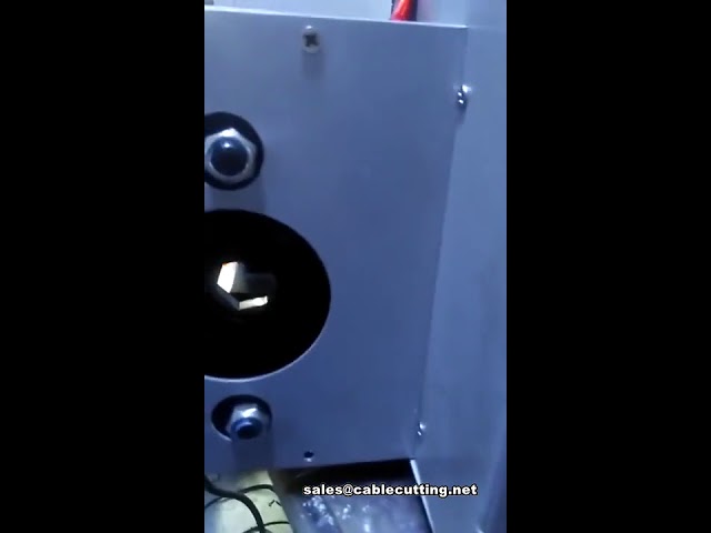 Máquina crimpadora de terminales hexagonales neumática | Crimpadora de cables neumática