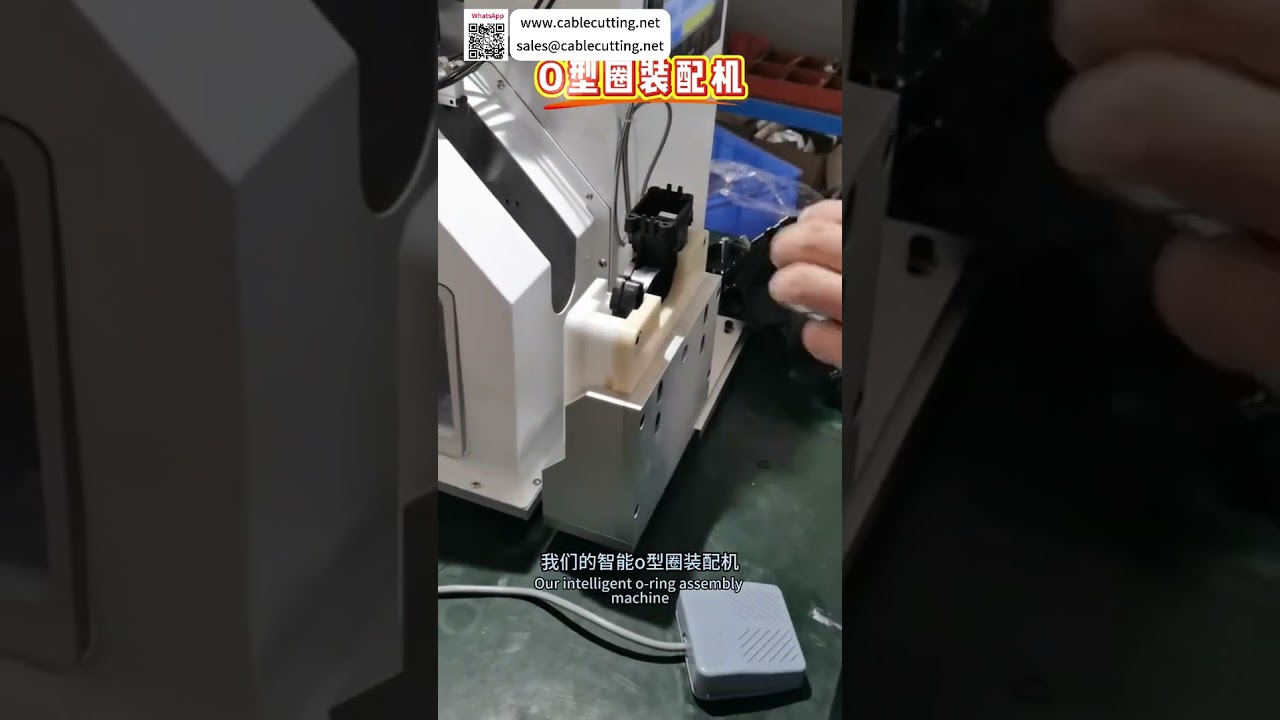 Máquina inteligente de ensamblaje de juntas tóricas de alto rendimiento con cambio rápido de molde para automatización de sellado industrial