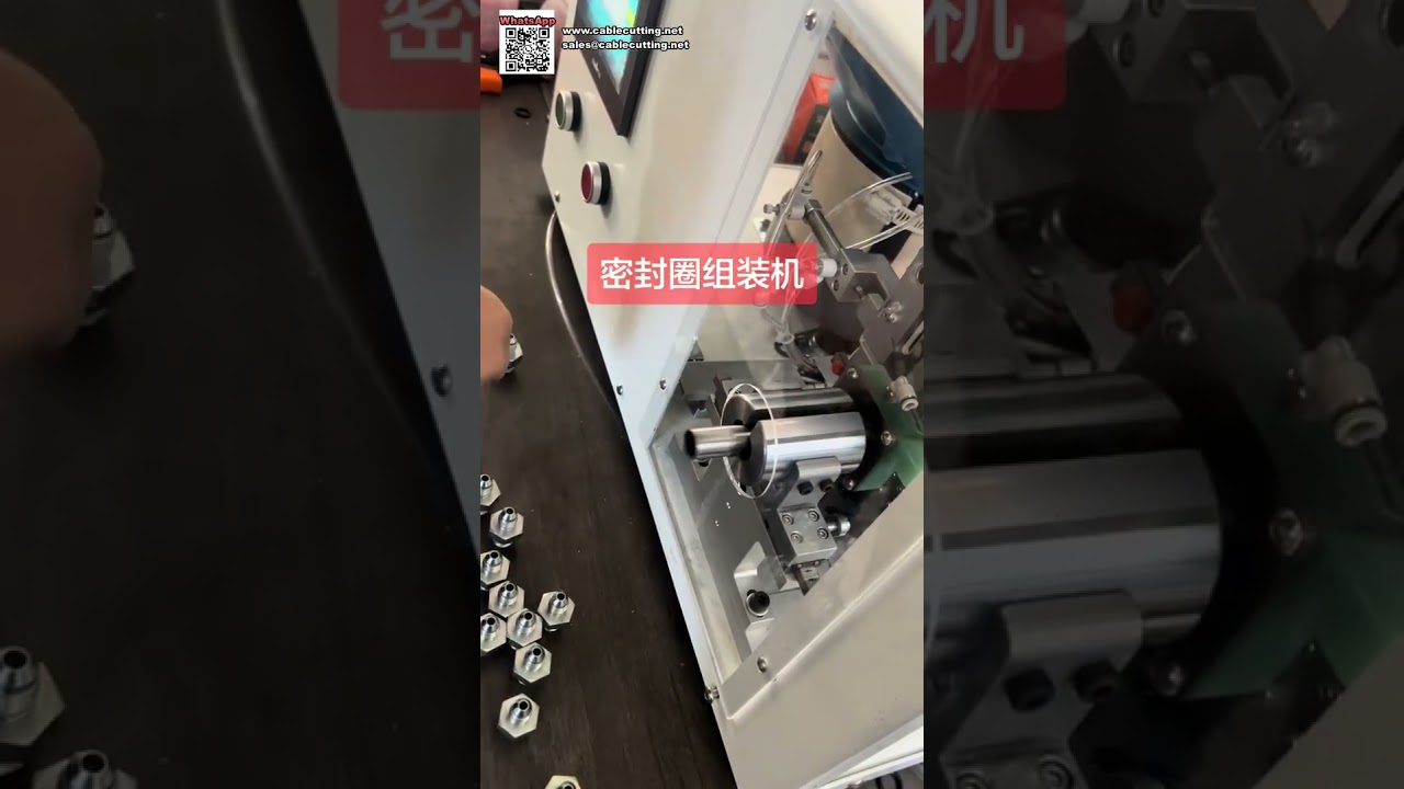 Máquina personalizada de ensamblaje automático de juntas tóricas para talleres de producción industrial