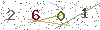 Verification Code Image